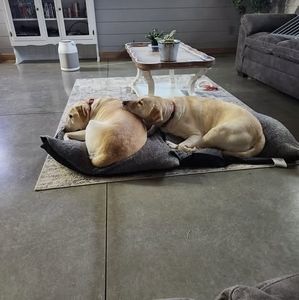 Meet your Posher, Deb